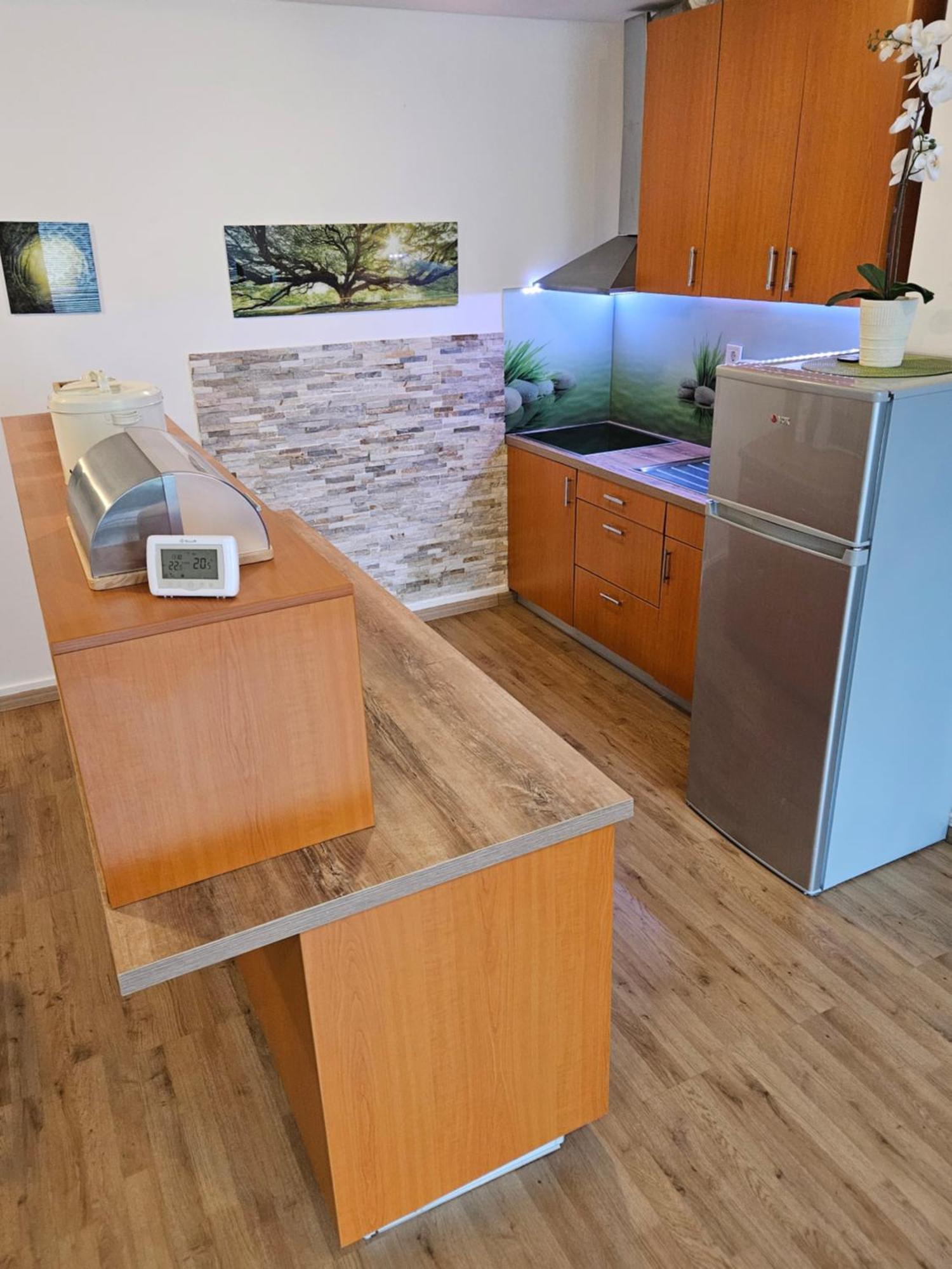 Apartment Zoya Kranjska Gora Exterior foto